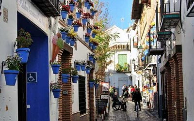 Cosas que hacer en Granada imprescindibles
